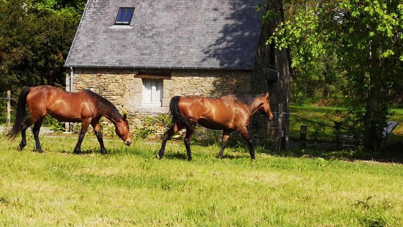 Готель Domaine Du Manoir De Vains Екстер'єр фото